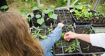 Kids Gardening